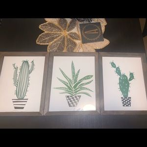 3 set of cacti